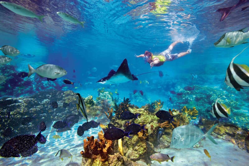 Snorkeling and Diving at Son Tra Peninsula