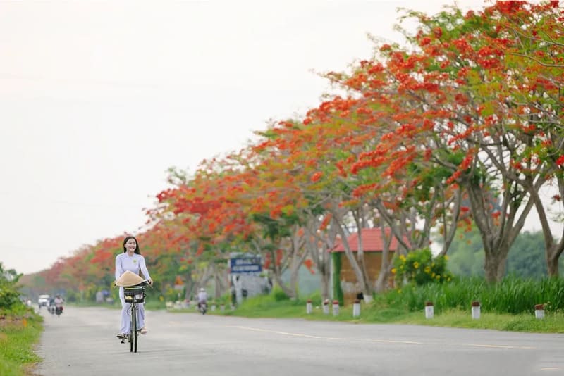 Summer in Vietnam
