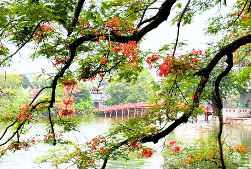 Summer in Northern Vietnam