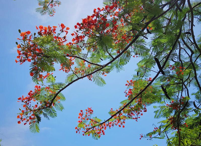 Summer in Vietnam: Weather, Destinations and Tips