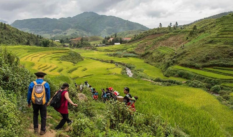 Trek rice terraces Ta Phin