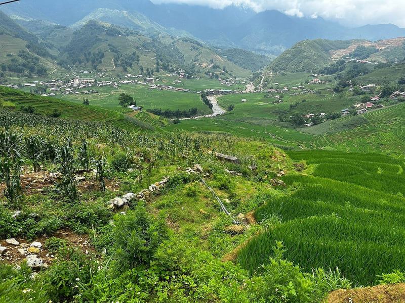 Muong Hoa stream