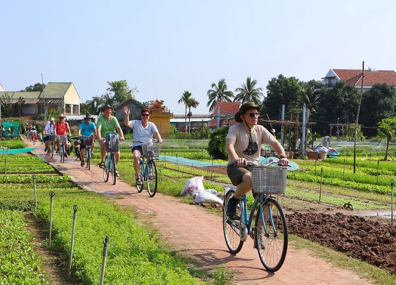 Cycle through vegetable gardens