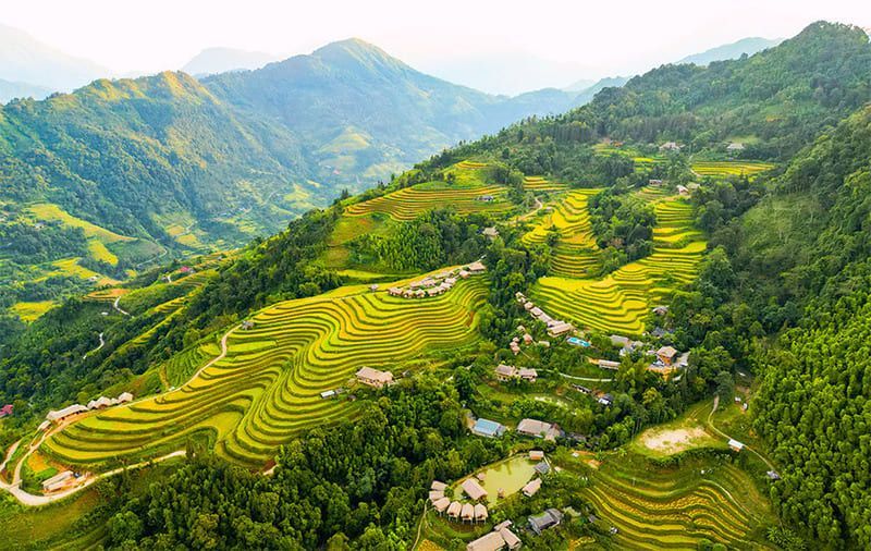Terraced rice fields