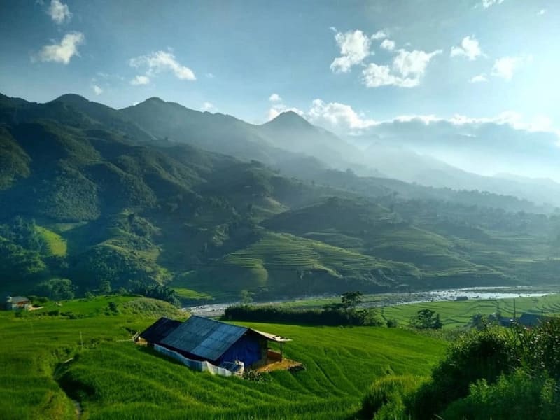 The Hau Thao-Ban Ho