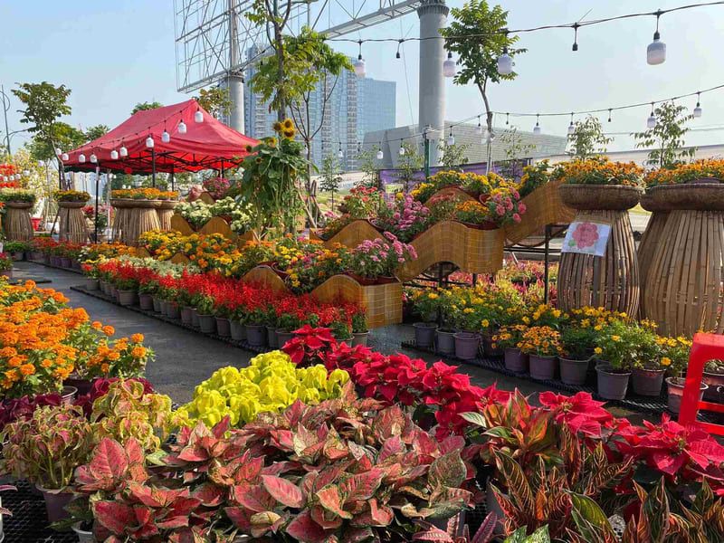 Colorful Tet flowers