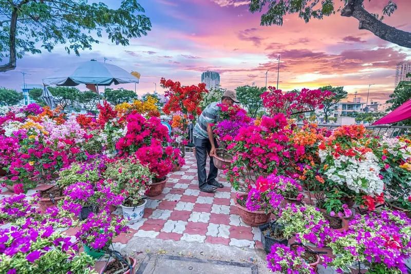 Flower markets