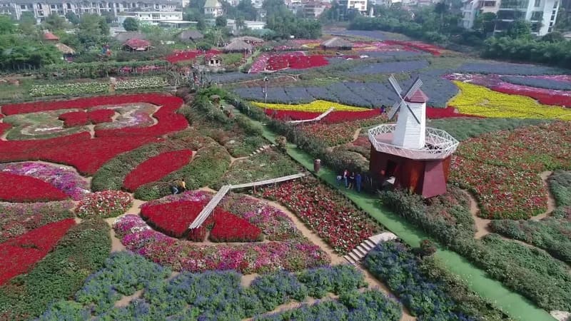 West Lake Flower Valley