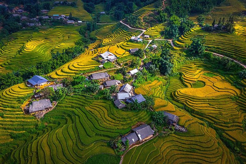 Y Linh Ho Village: A Hidden Gem Among Sapa Rice Terraces