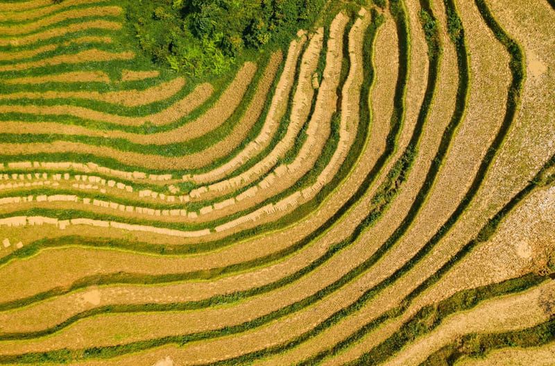 17 Best Things to Do in Sapa, Vietnam (2026 Guide)
