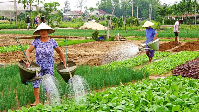 14 days Best of Vietnam & Cambodia