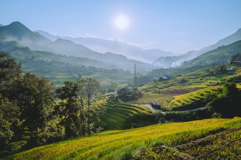 Rice Terraces in Sapa