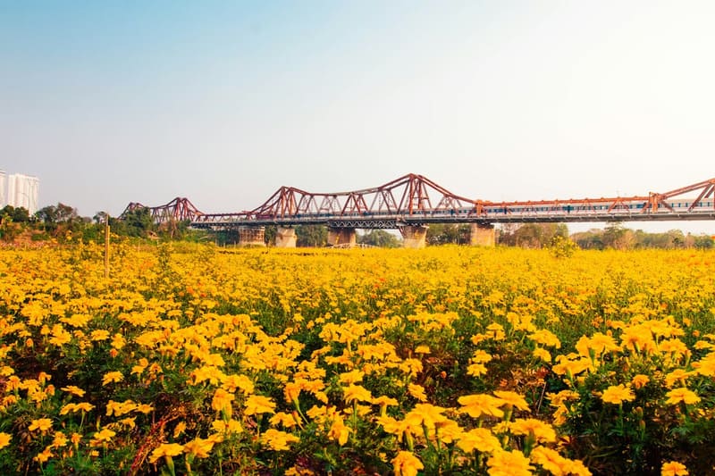 Red River Flower Garden