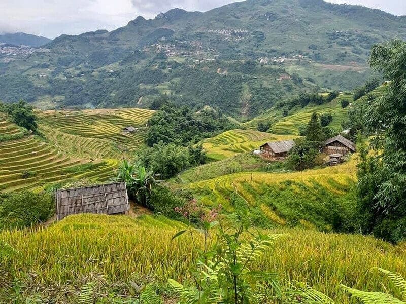 Y Linh Ho Village