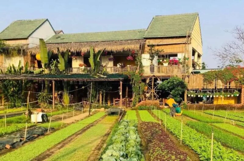 Tra Que Village