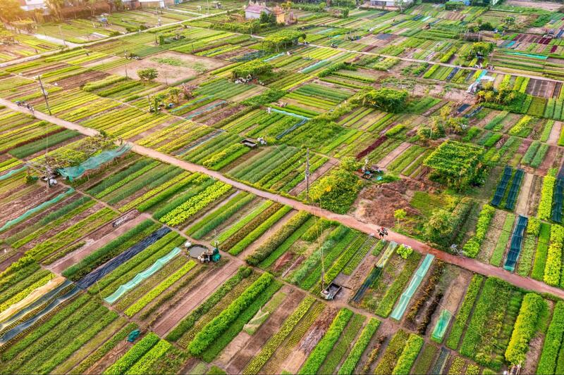 Hoi An’s Countryside