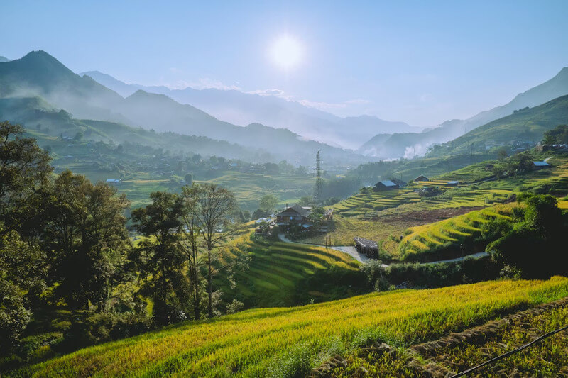 Sapa Rice Terraces